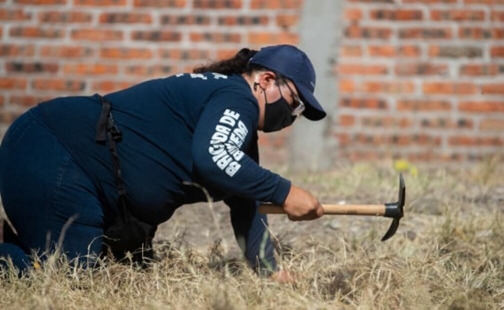 "Todos celebrando el Cervantino y nosotras desenterrando cuerpos": la otra cara que se vive en Guanajuato 