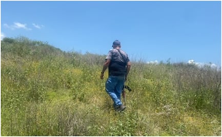 Aumenta desplazamiento de familias tapatías hacia Michoacán por presencia del CJNG; piden la intervención del Ejército