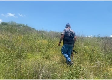 Aumenta desplazamiento de familias tapatías hacia Michoacán por presencia del CJNG; piden la intervención del Ejército