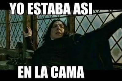 El hipopótamo Moo Deng, Lady Mangos y los microsismos en los memes de la semana