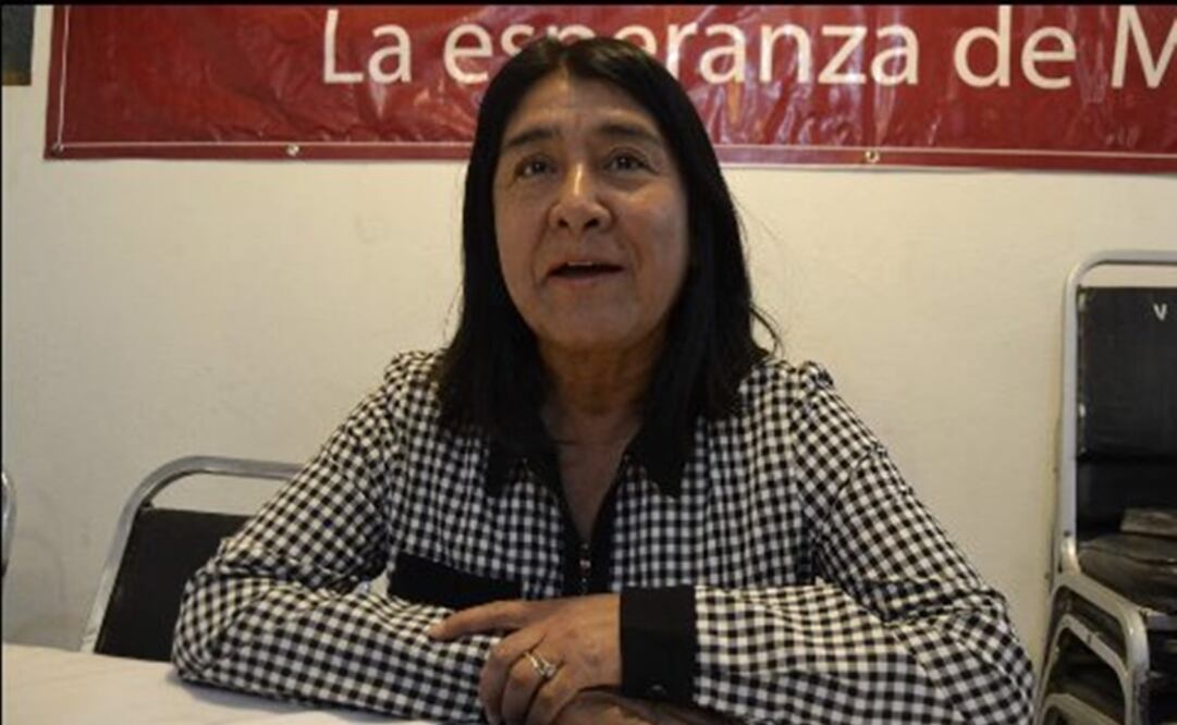 Diputada Miroslava Sáchez de Morena, presidenta de la Comisión de Salud. Foto: Especial 