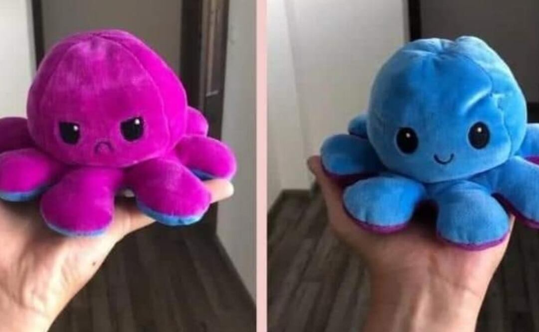 Pueden mostrar dos estados de ánimo. 