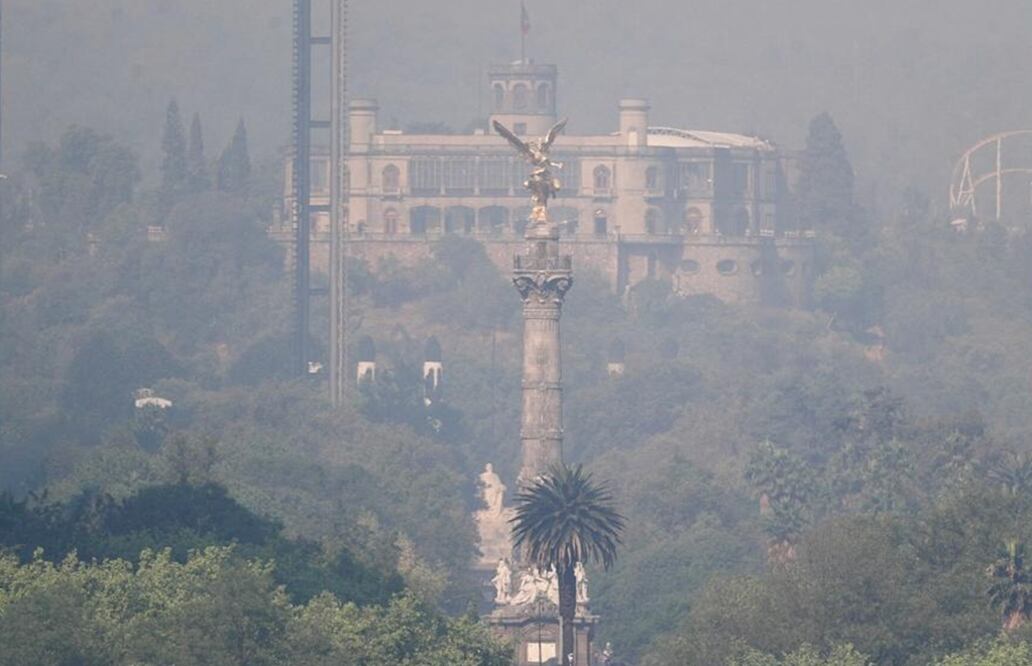 Foto: Diego Simón Sánchez/EL UNIVERSAL