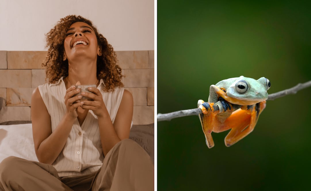 Conoce las efemérides de este viernes 20 de marzo de 2026. Foto: Canva