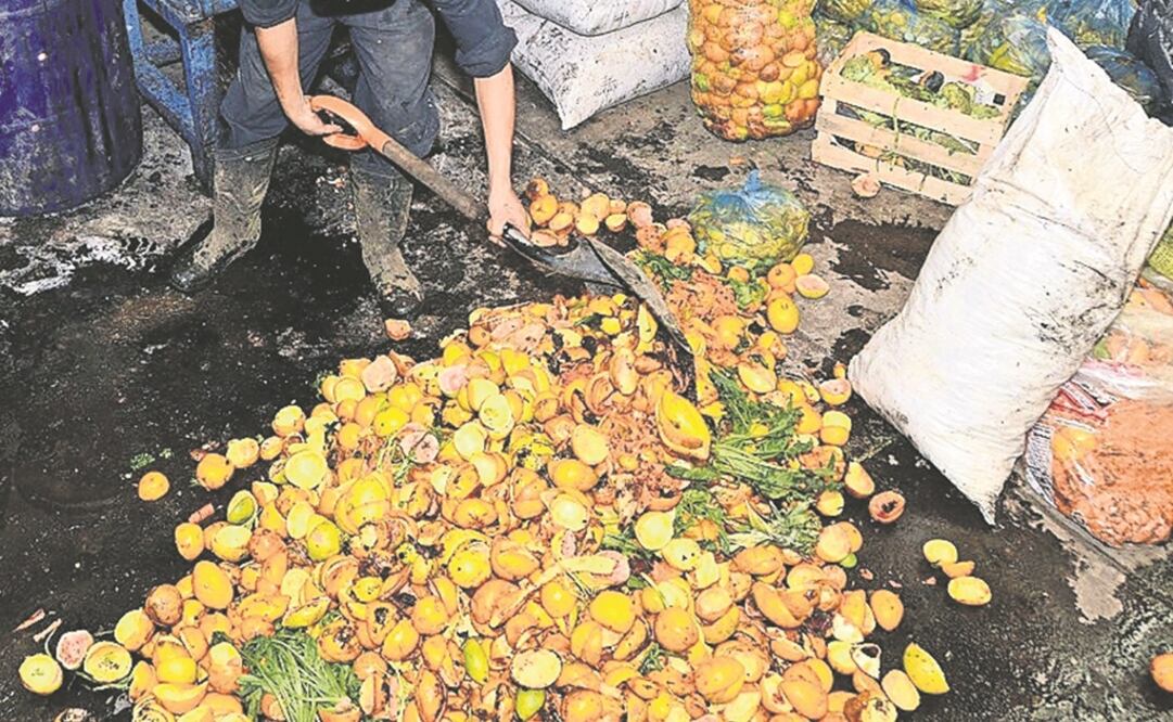 El proyecto se aplica desde hace dos meses en fase piloto. Foto: Archivo