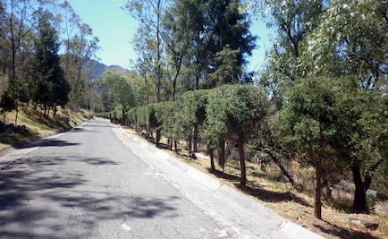 Alertan peligro de extinción de Sierra de Guadalupe