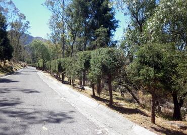 Alertan peligro de extinción de Sierra de Guadalupe