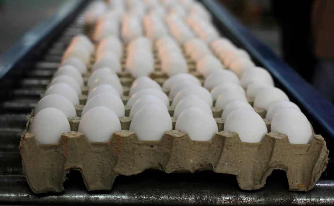 En el año 2013, Bachoco adquirió los activos de las granjas reproductoras de Morris Hatchery Inc. Ubicadas en Arkansas, Estados Unidos Foto: Archivo/EL UNIVERSAL