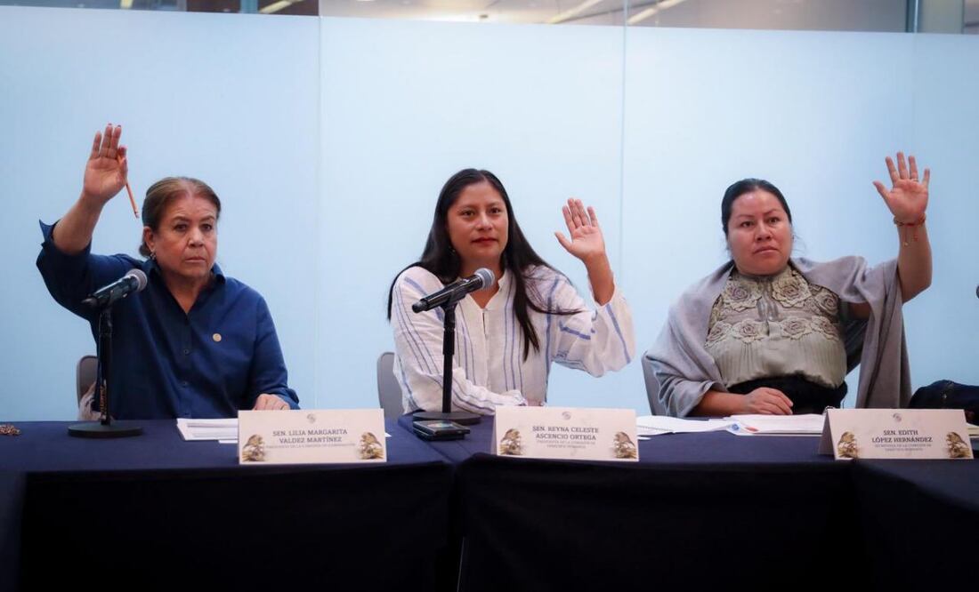Comisiones unidas de Gobernación y de Derechos Humanos del Senado de la República. Foto: Especial