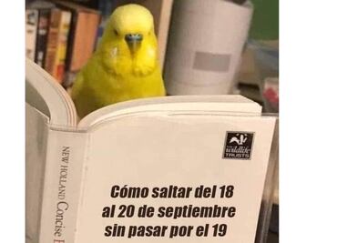 ¿Quitar el 19 de septiembre del calendario? Así reaccionan con memes tras nuevo sismo en México