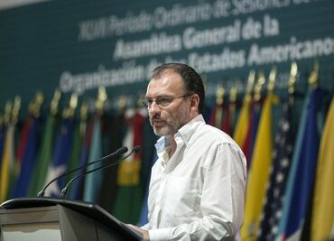Nombran a Videgaray presidente de la 47 Asamblea General de la OEA
