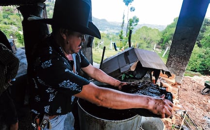 Certifican a 24 productores de mezcal  mexiquenses