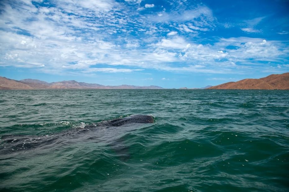 Foto: Secretaría de Turismo de Baja California