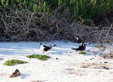 Ven nula protecciónen áreas naturales