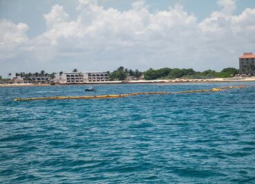Reintroducción de organismos al mar para degradar sargazo, riesgo potencial: CTA