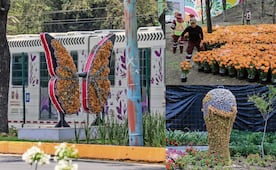Tapizan con flores camino al Estadio de la CDMX