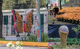 Tapizan con flores camino al Estadio de la CDMX