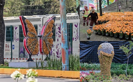 Tapizan con flores camino al Estadio de la CDMX, a 7 días del Mundial