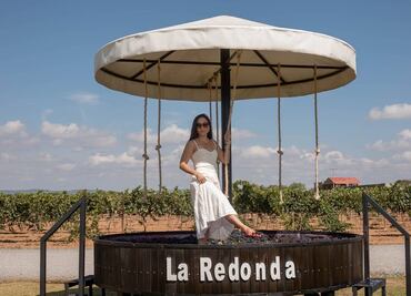 5 viñedos para hacer la pisada de la uva en México