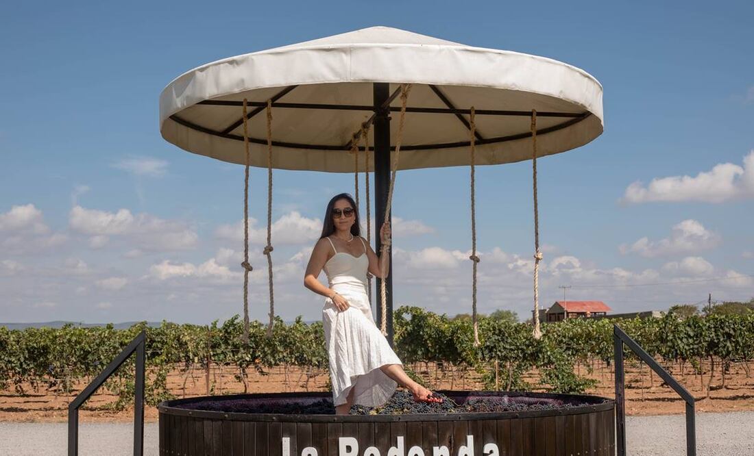 Foto: Facebook 'Viñedos La Redonda'