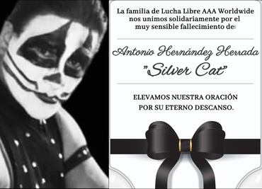 ¡Luto en la lucha libre! Falleció Silver Cat, referente de la Triple A
