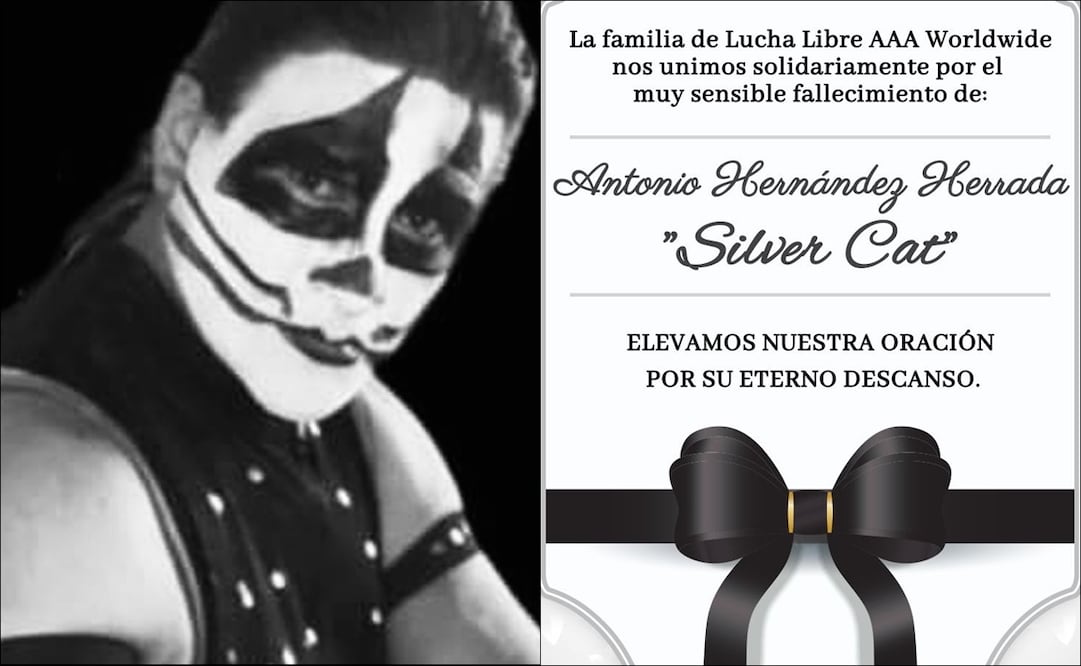 Falleció el luchador Silver Cat - Foto: Especial