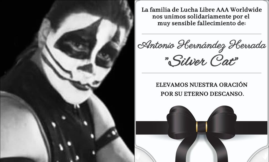Falleció el luchador Silver Cat - Foto: Especial