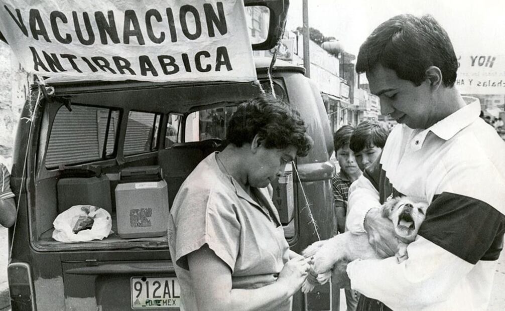 EL UNIVERSAL reportó el 3 de agosto de 1966 la detención de un hombre que acudió a varios domicilios de la Ciudad de México para suministrar supuestas vacunas contra la rabia a perros domésticos. Se le encarceló al comprobarse que las inyecciones no eran de suero antirrábico, sino pura agua. Las autoridades recomendaron a la población vacunar a sus perros sólo en centros antirrábicos públicos o en vehículos autorizados. Foto: Archivo EL UNIVERSAL/Gildardo Solís.