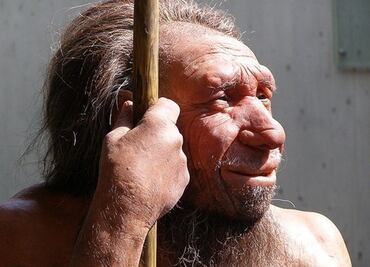 El frío pudo ser el culpable de la extinción de los neandertales