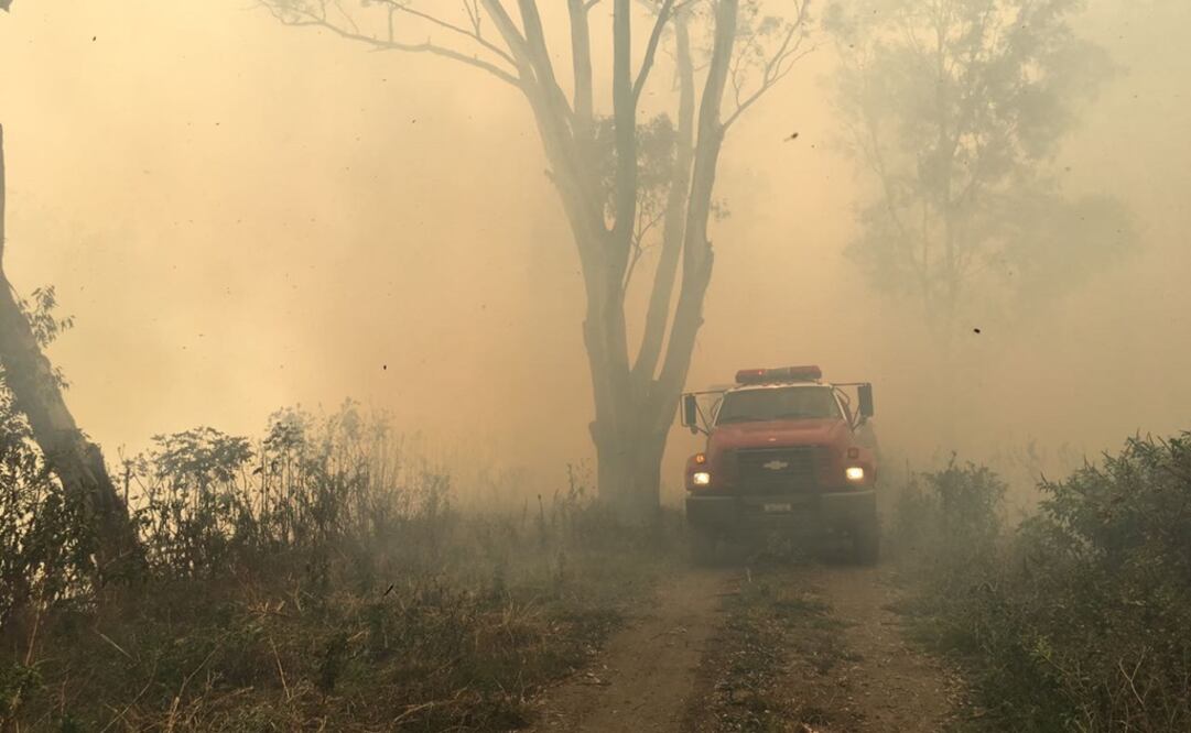 (Foto: Protección Civil)