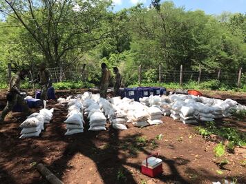 Semar incinera 10 toneladas de cristal en Sinaloa 