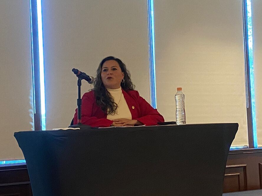 Exdiputada del PRI, Mónica Fernández. Foto Omar Díaz / El UNIVERSAL.