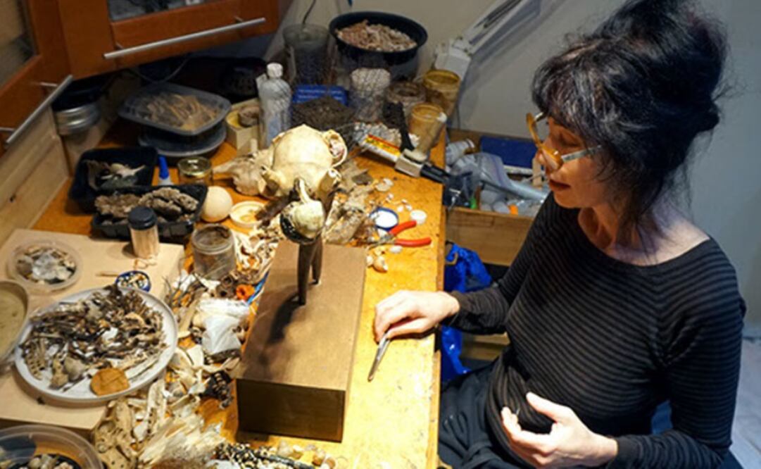 Foto: gilliangenser.com