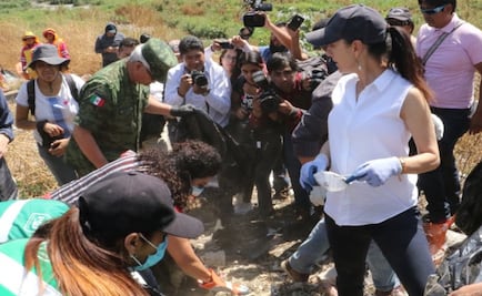 Guardia Nacional vigilará avenida Texcoco a partir de abril: Sheinbaum