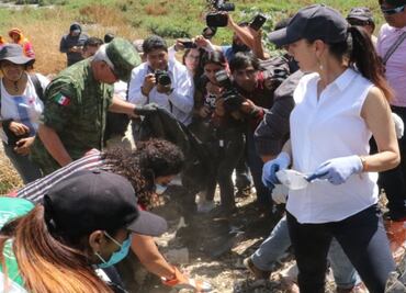 Guardia Nacional vigilará avenida Texcoco a partir de abril: Sheinbaum