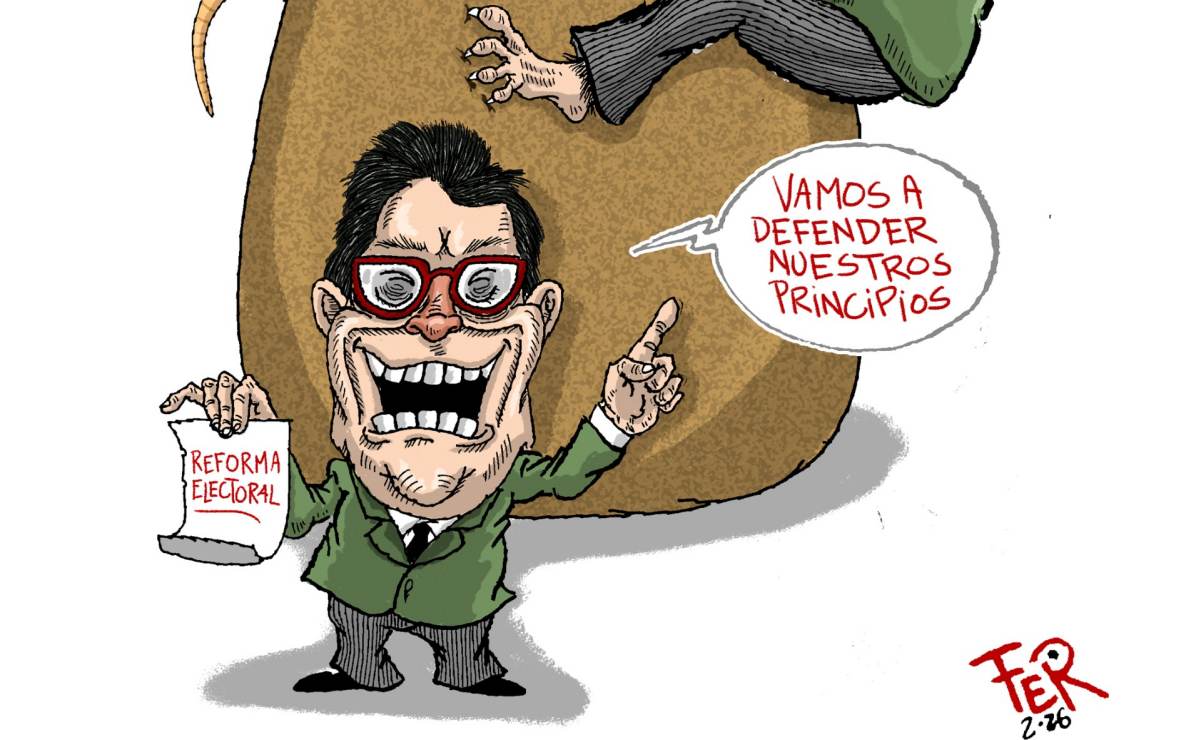 Cartón de FER