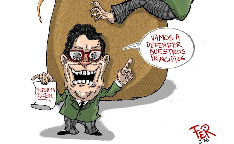 Cartón de FER