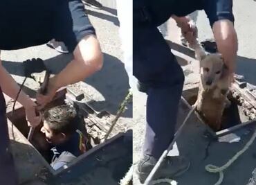 Video. Bomberos rescatan a lomito tras caer a una coladera en Nezahualcóyotl