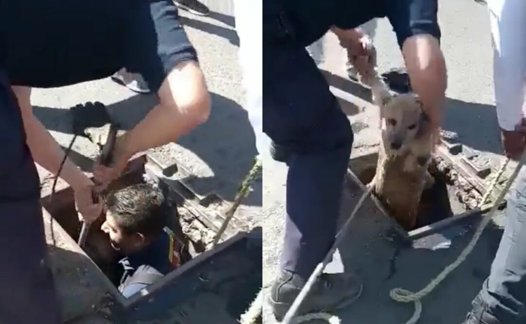 Foto: Captura de video