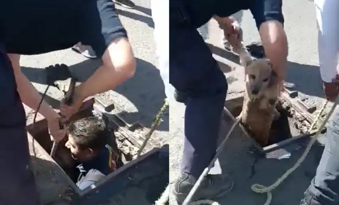 Foto: Captura de video