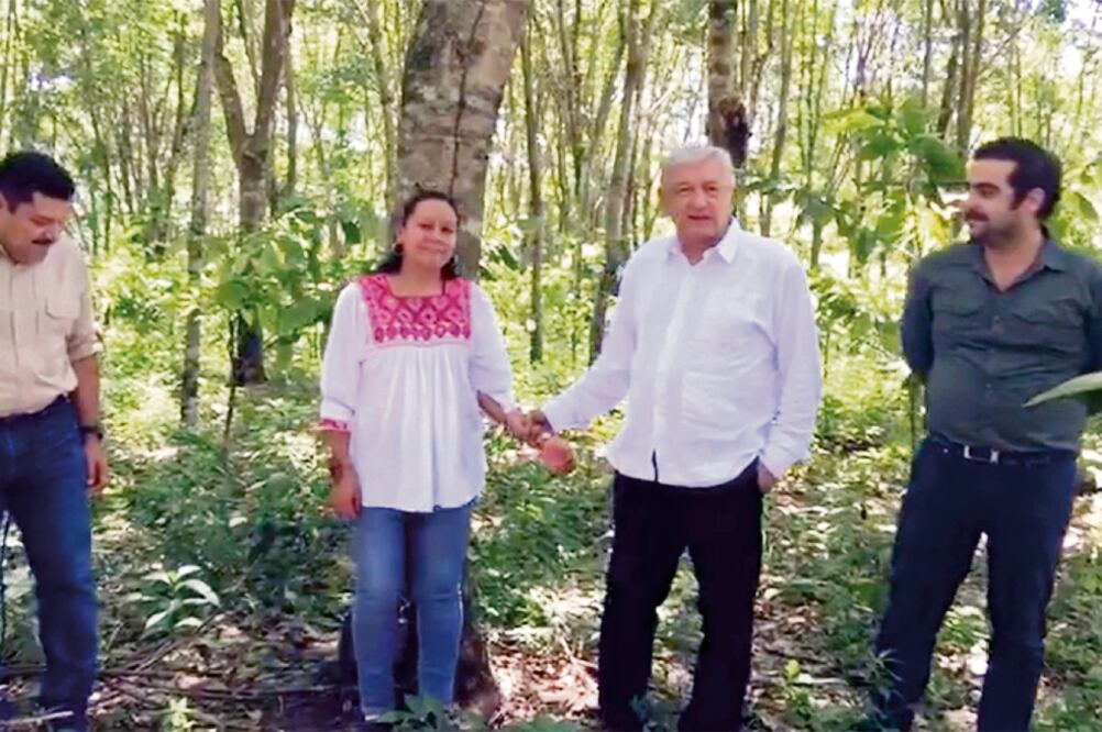 El virtual presidente electo, Andrés Manuel López Obrador, dijo que unas de las causas de la migración de jóvenes a EU es por el abandono del campo. Foto: TOMADA DE REDES SOCIALES