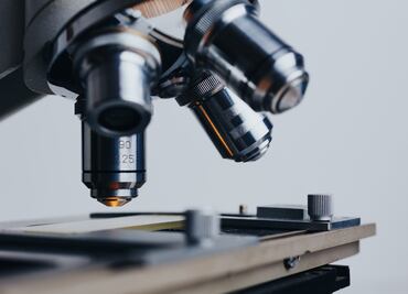 OMS presenta lista de los hongos más peligrosos para los humanos; advierte falta de tratamientos