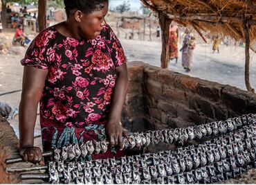 Poniendo al descubierto el impacto de la pesca artesanal