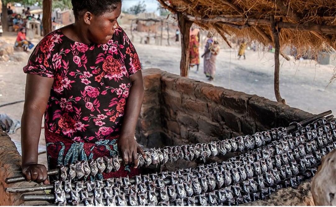 En su hogar, en la localidad de Kasanga, Tanzanía, una mujer prepara perca recién capturada en el lago Tanganica para ser ahumada y luego vendida. Este método tradicional de conservación permite extender la vida útil del pescado.  |  CRÉDITO: © FAO / LUIS TATO