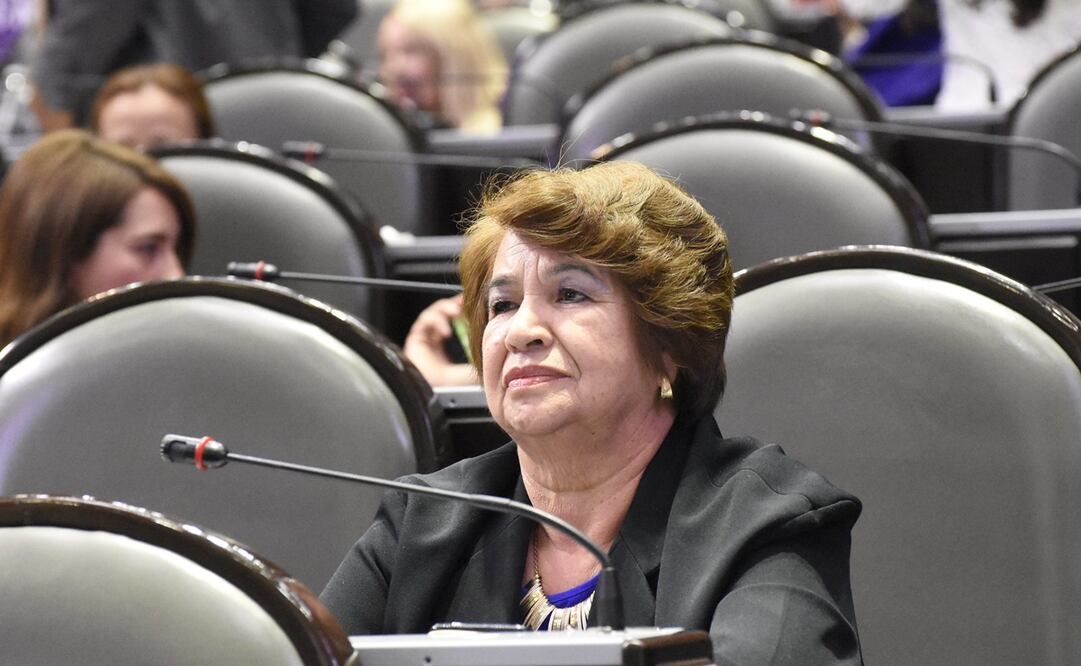 Diputada por Movimiento Ciudadano, María Libier González AnayaTomada. Foto: Facebook /DiputadaLibier