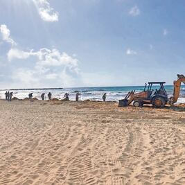 Retiran sargazo y afectan la playa