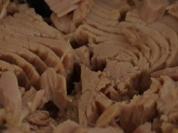 ¿Es mejor el atún en agua que el de aceite?