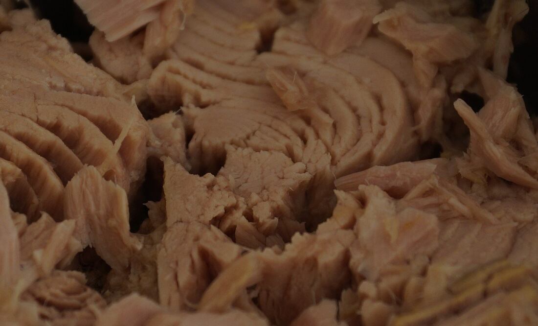 El atún es una fuente rica en proteínas, vitaminas y minerales / Fotos: Pixabay