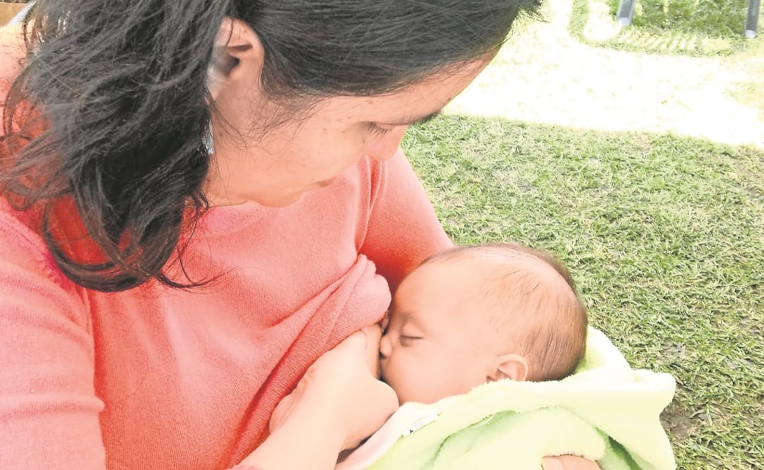 Foto: Archivo. EL UNIVERSAL