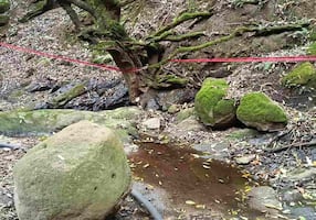 Edomex pide declaratoria de emergencia y Plan DN-III por contaminación de agua en Chichicaspa tras derrame de combustible